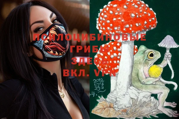 спиды Остров