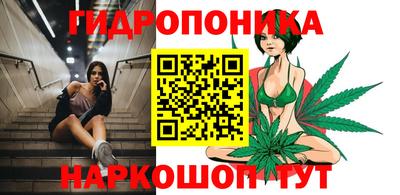 гидра Абакан