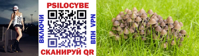 Галлюциногенные грибы Magic Shrooms Алапаевск