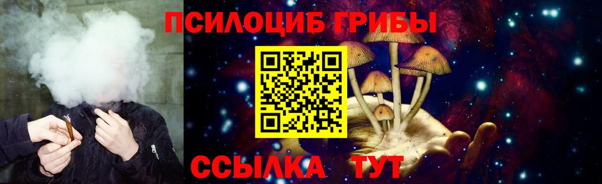 Галлюциногенные грибы мицелий  Алапаевск 